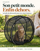 Son petit monde, enfin dehors : chat tigré dans sa bulle noire Minoubulle au jardin