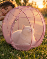 Un chat blanc apaisé dans sa bulle rose, une jeune femme tout près