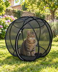 Chat tigré assis dans la bulle noire Minoubulle, sur la pelouse d'un jardin